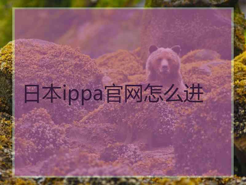 日本ippa官网怎么进