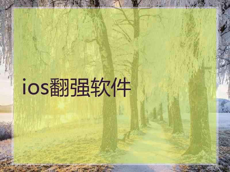 ios翻强软件