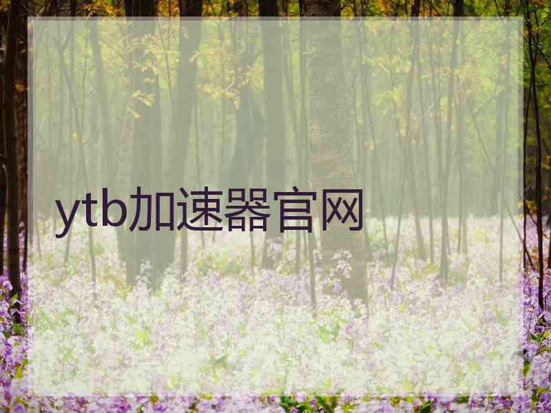 ytb加速器官网