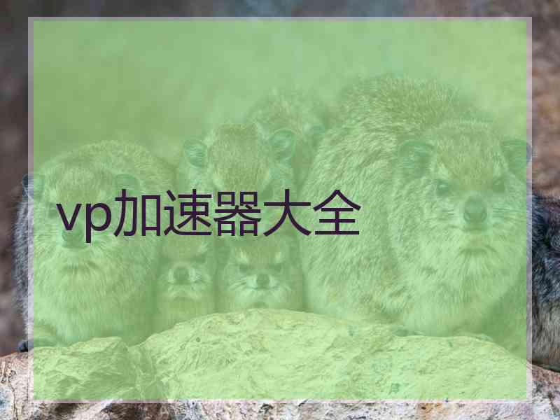 vp加速器大全