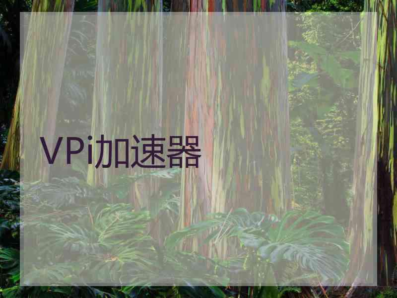 VPi加速器