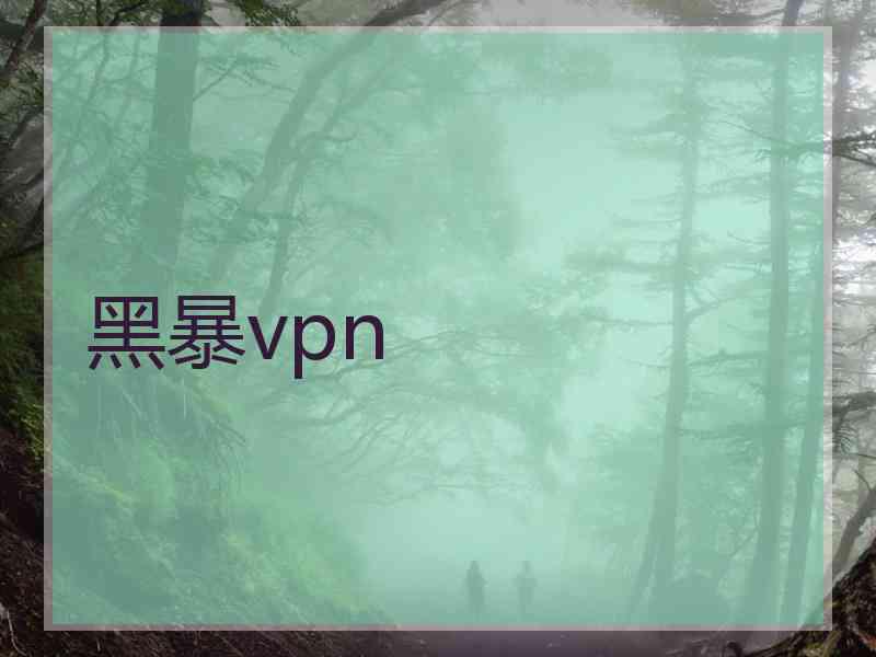 黑暴vpn