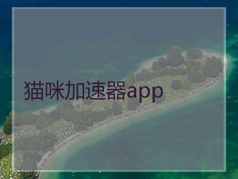 猫咪加速器app