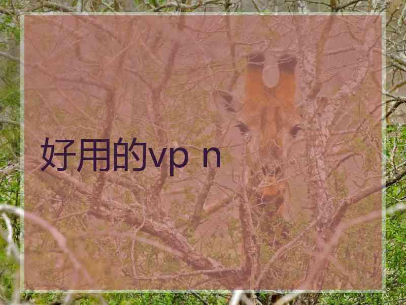 好用的vp n