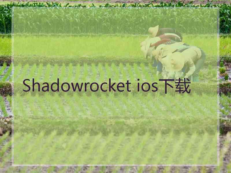 Shadowrocket ios下载