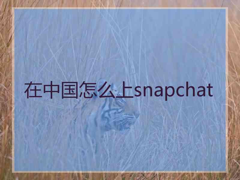 在中国怎么上snapchat