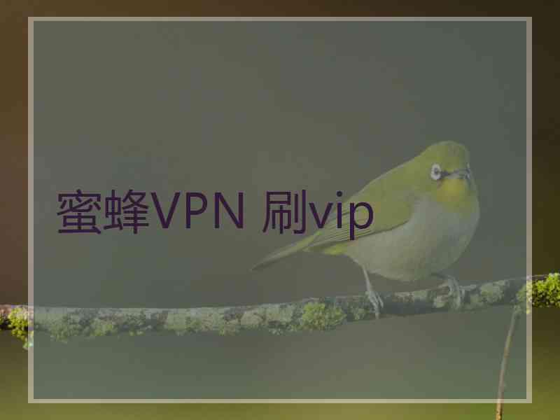 蜜蜂VPN 刷vip