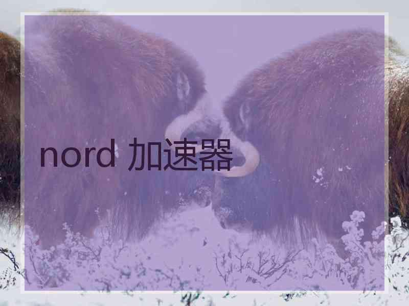 nord 加速器