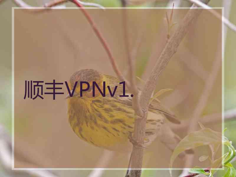 顺丰VPNv1.