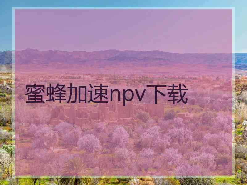 蜜蜂加速npv下载