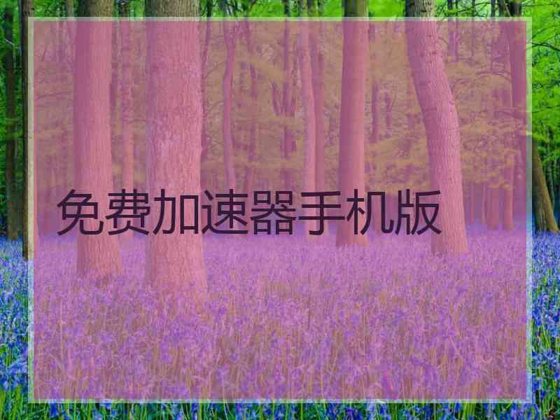 免费加速器手机版