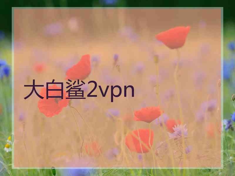 大白鲨2vpn