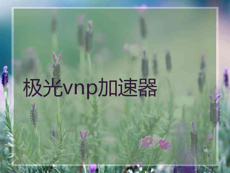 极光vnp加速器