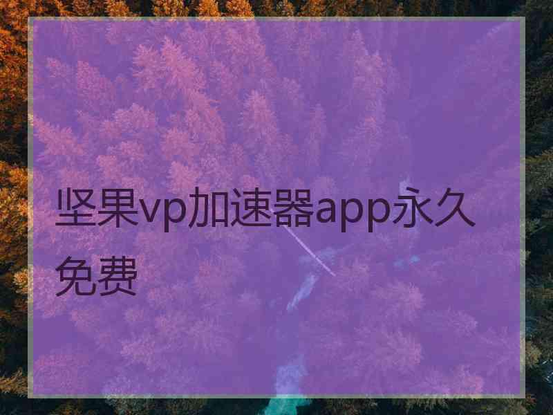 坚果vp加速器app永久免费