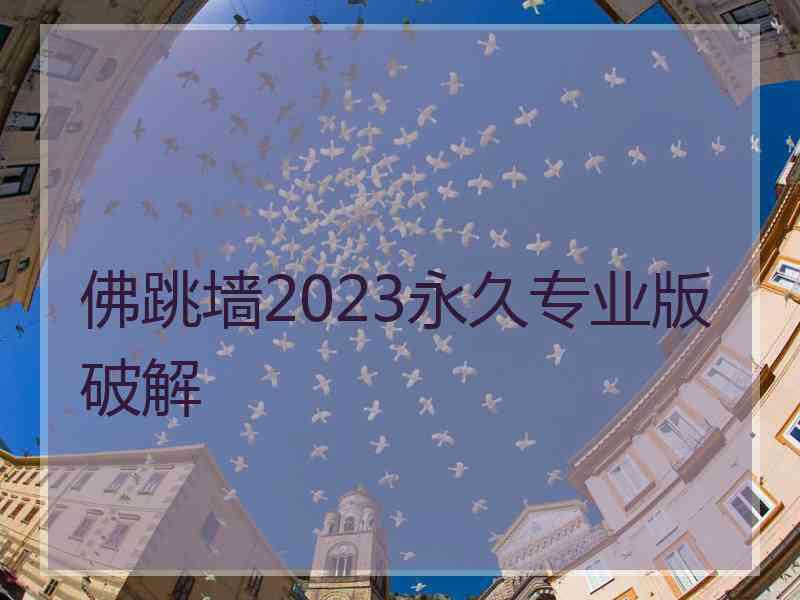 佛跳墙2023永久专业版破解