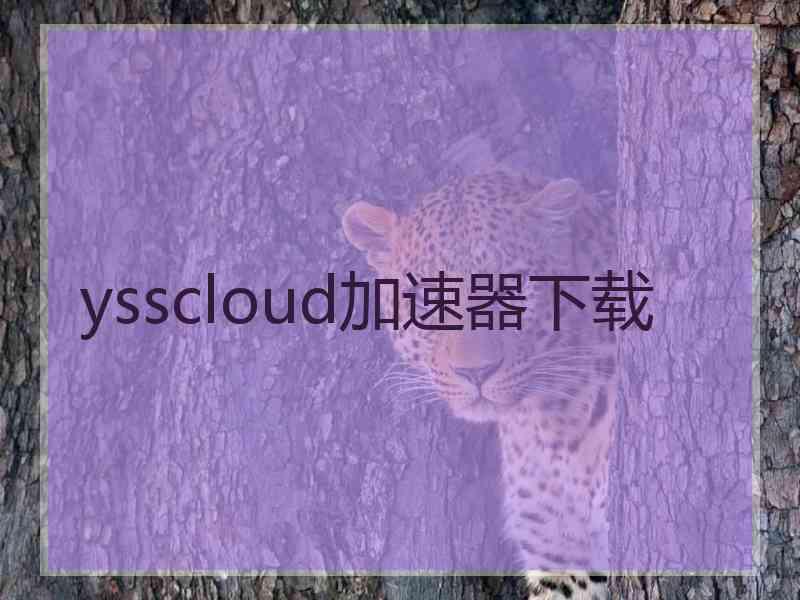 ysscloud加速器下载