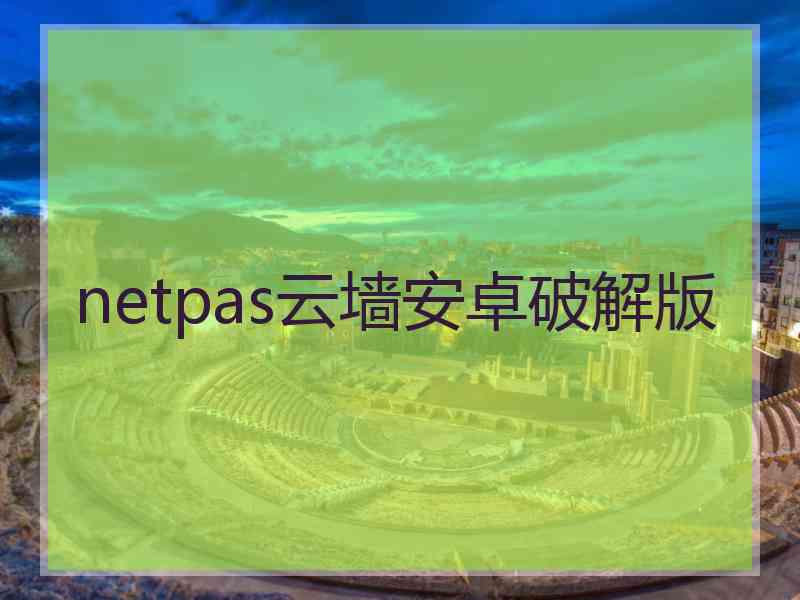 netpas云墙安卓破解版