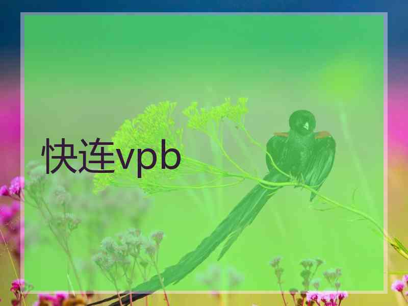 快连vpb