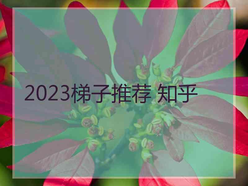 2023梯子推荐 知乎