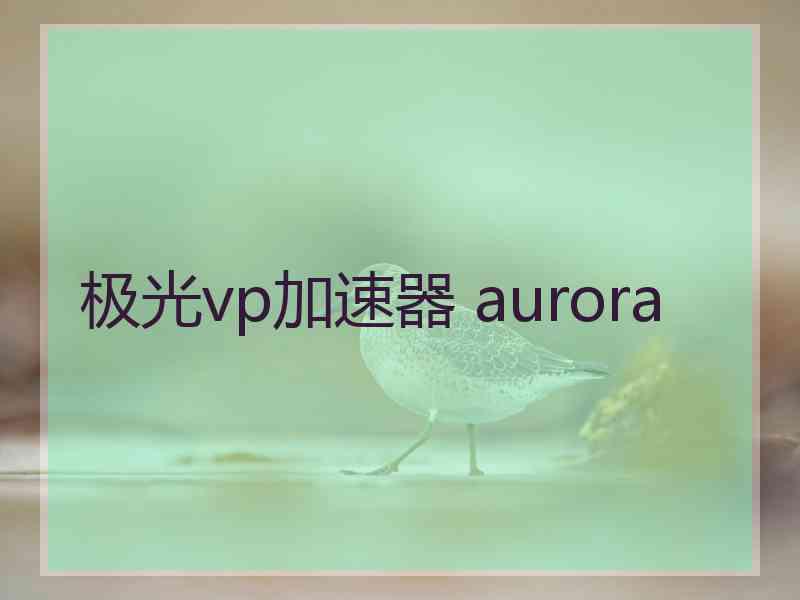 极光vp加速器 aurora