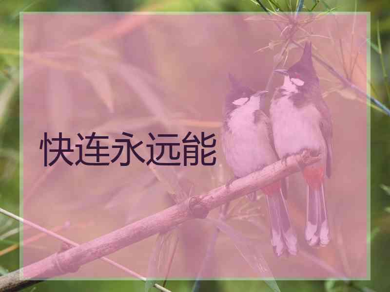 快连永远能