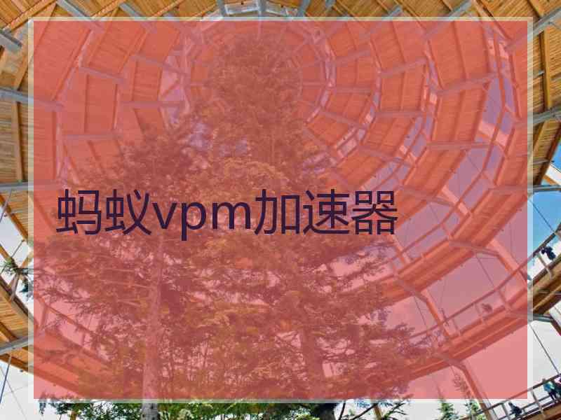 蚂蚁vpm加速器