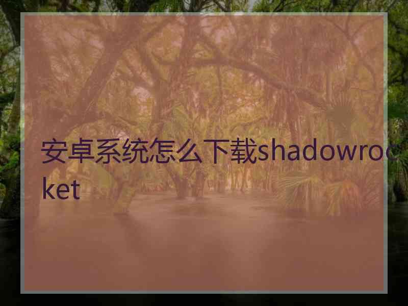 安卓系统怎么下载shadowrocket