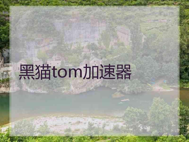 黑猫tom加速器