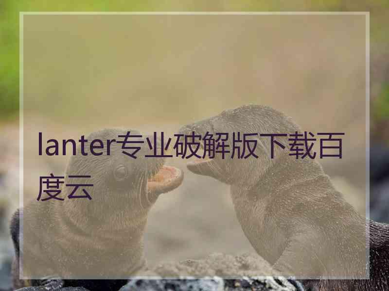 lanter专业破解版下载百度云