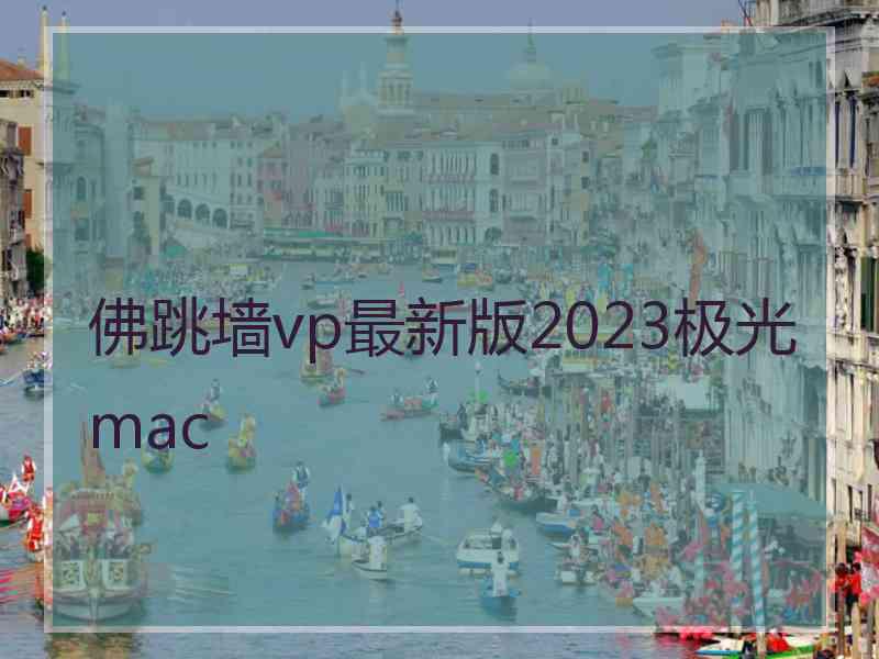 佛跳墙vp最新版2023极光 mac