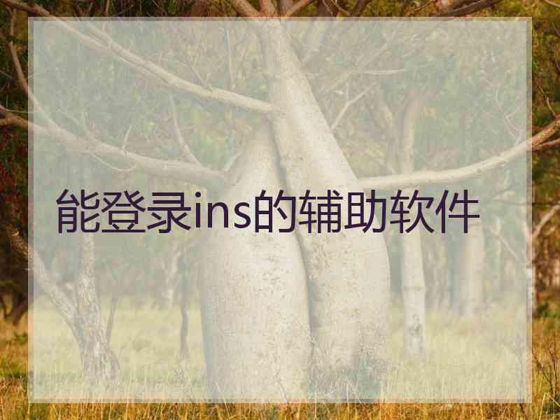 能登录ins的辅助软件