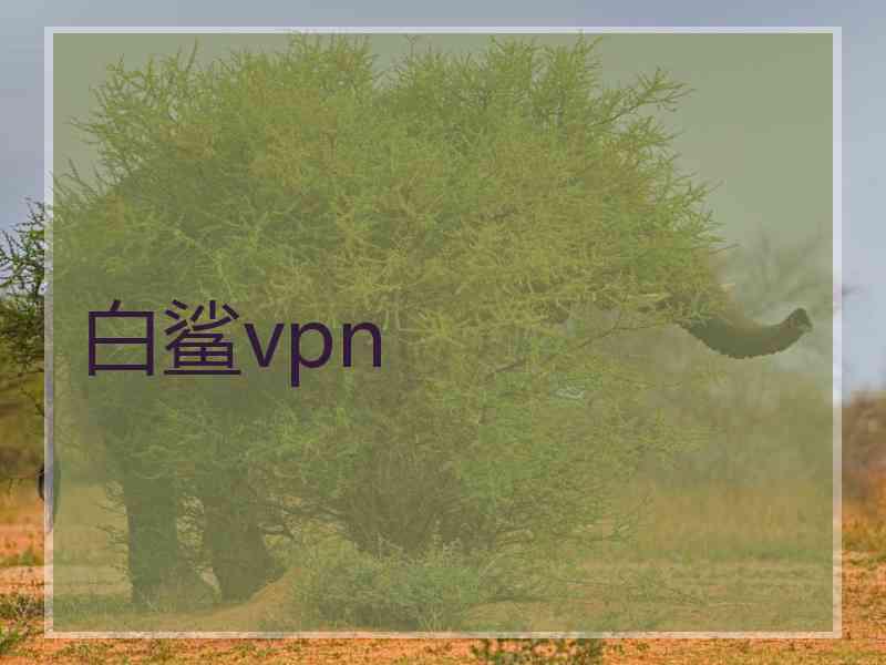 白鲨vpn