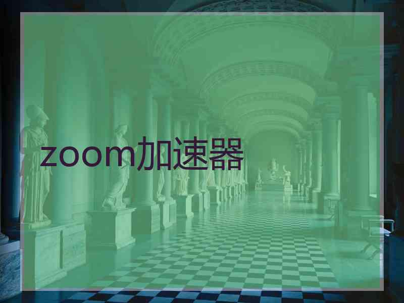 zoom加速器