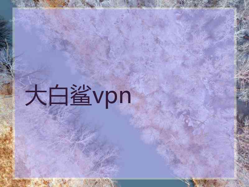 大白鲨vpn