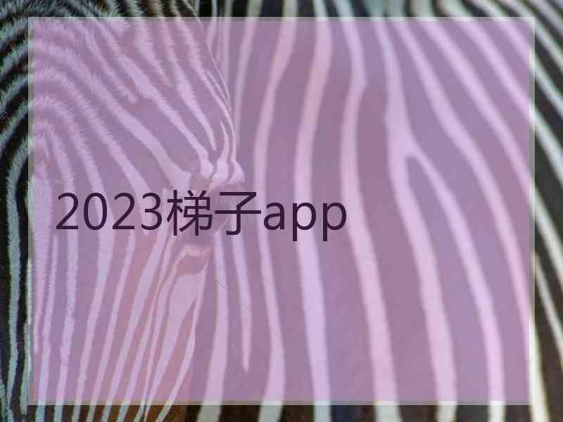 2023梯子app