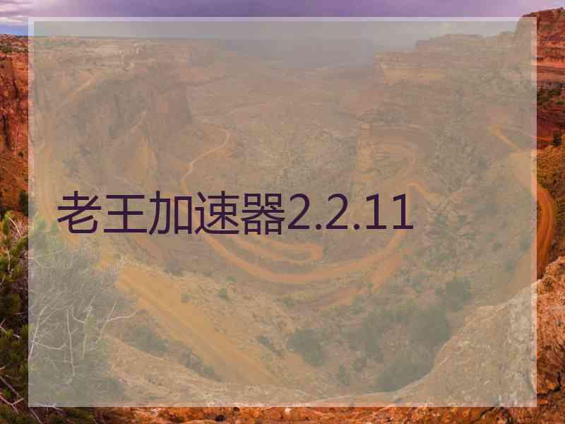 老王加速器2.2.11