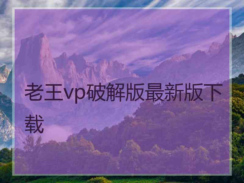 老王vp破解版最新版下载