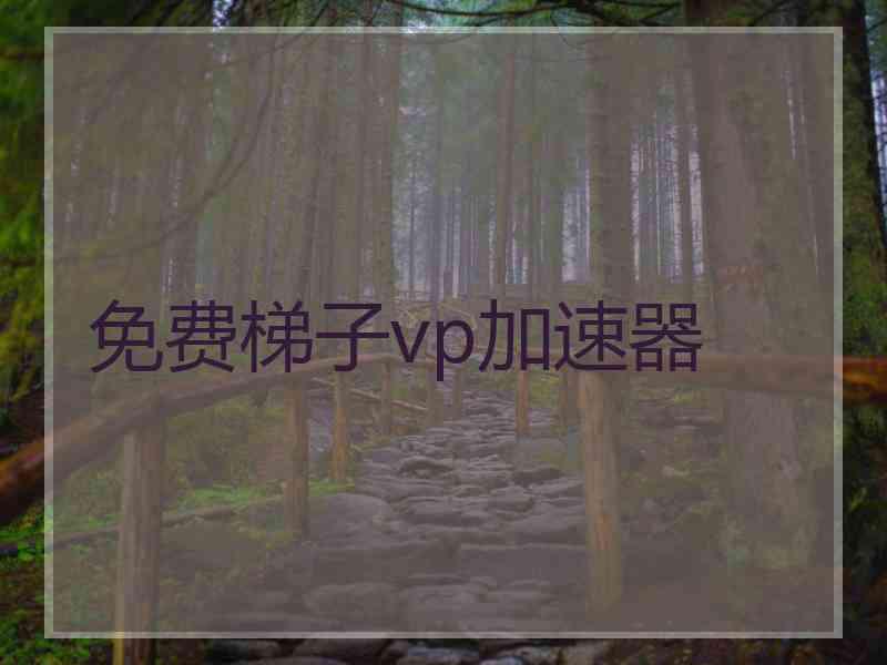 免费梯子vp加速器