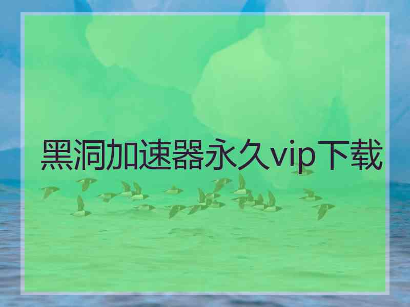 黑洞加速器永久vip下载