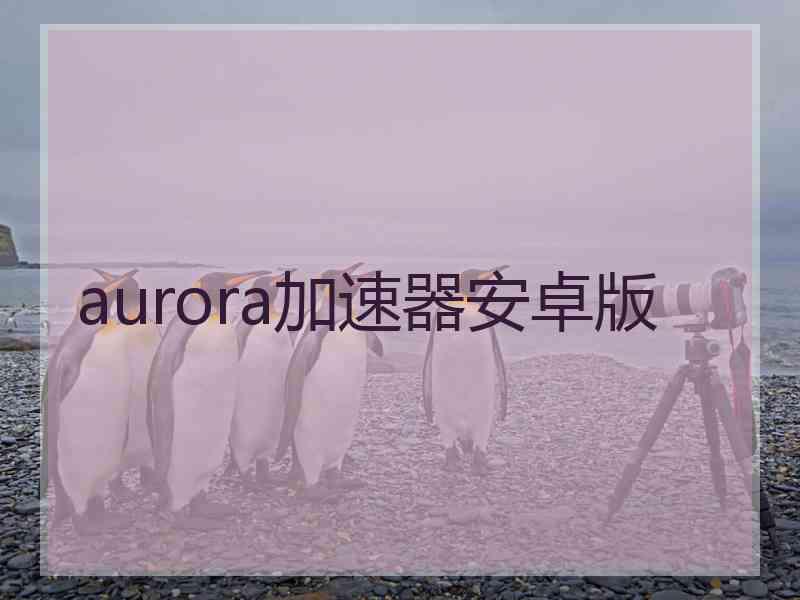 aurora加速器安卓版