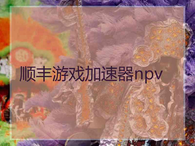 顺丰游戏加速器npv