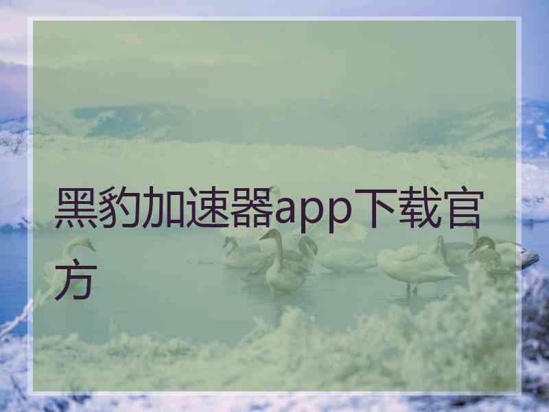 黑豹加速器app下载官方