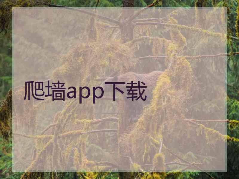 爬墙app下载