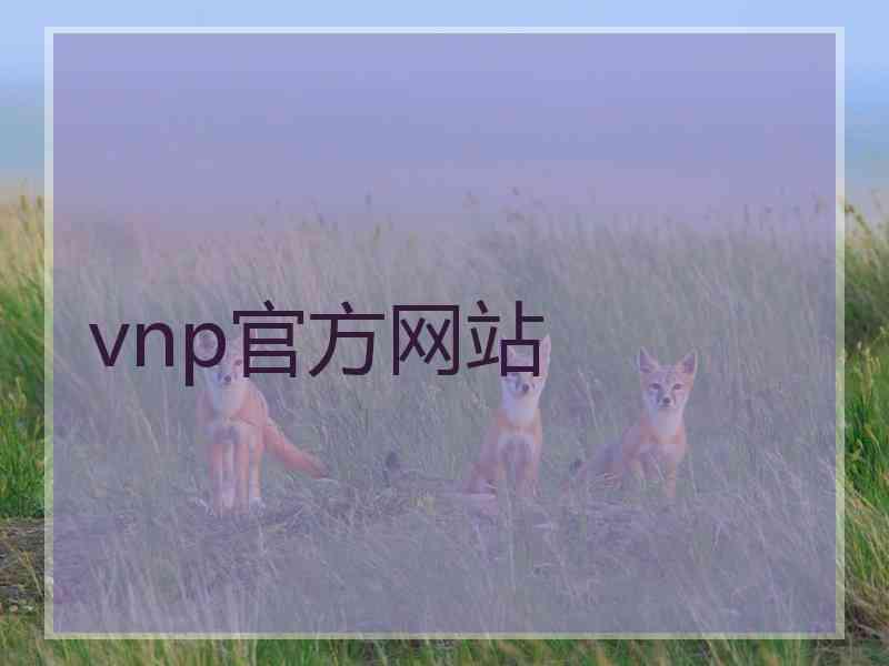 vnp官方网站