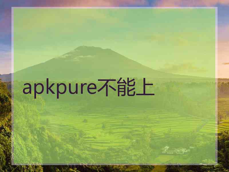 apkpure不能上