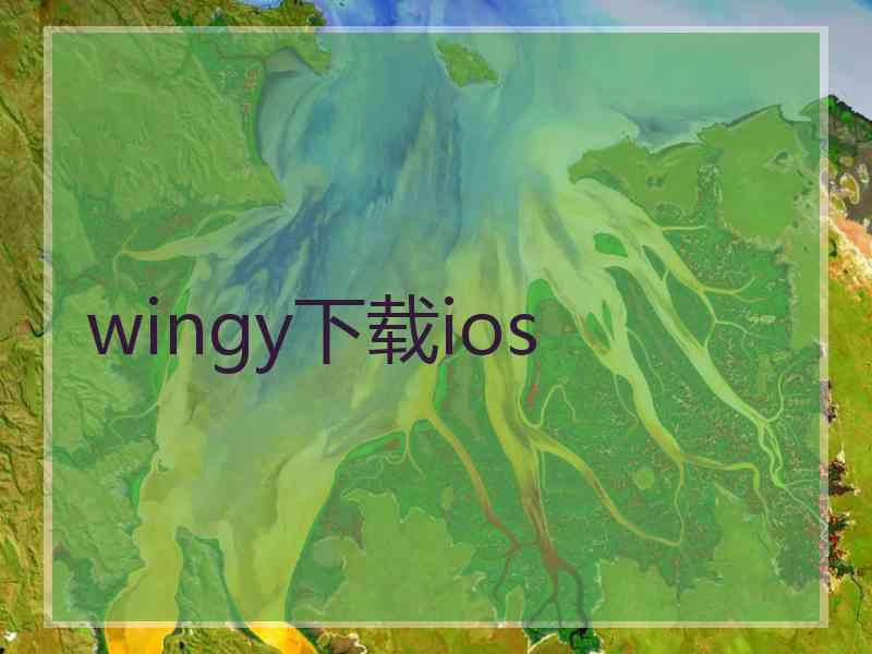 wingy下载ios