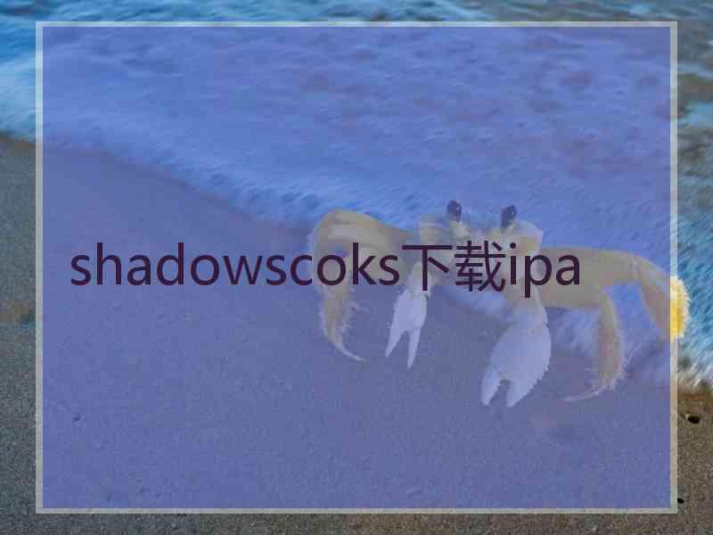 shadowscoks下载ipa