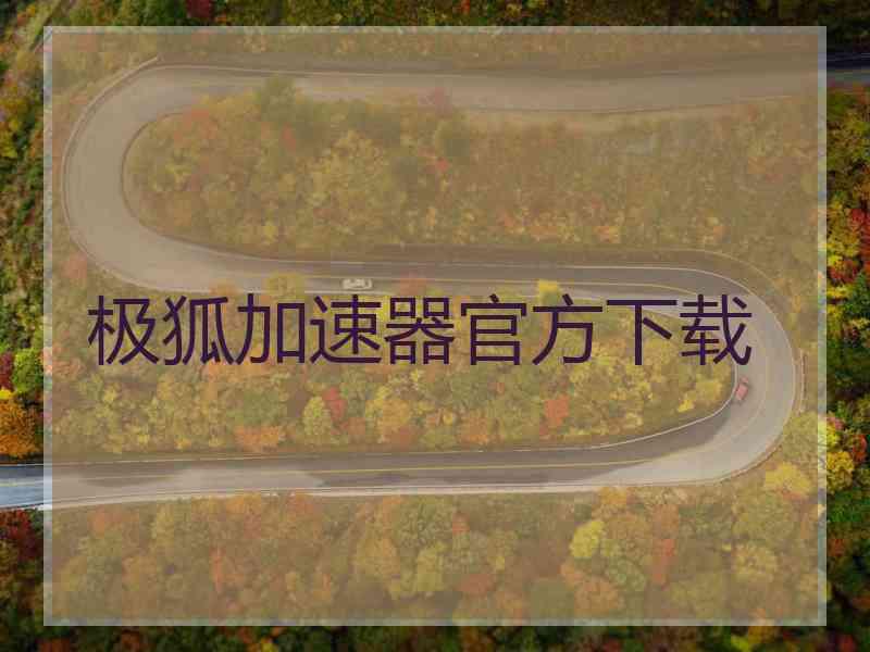 极狐加速器官方下载