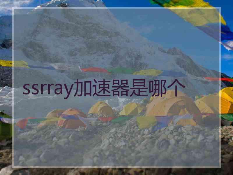 ssrray加速器是哪个