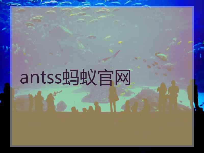 antss蚂蚁官网